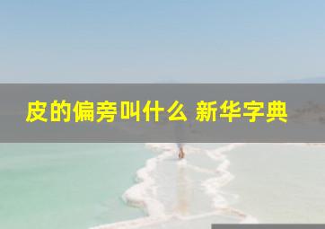 皮的偏旁叫什么 新华字典